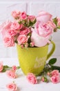 Pink roses flowers in green cup against white brick wall. Royalty Free Stock Photo