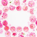 Pink roses flowers on white background. Flat lay, top view. Floral composition and copy space Royalty Free Stock Photo