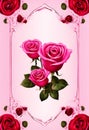 pink roses full of love and affection for women