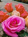 Pink roses at funeral bouquet