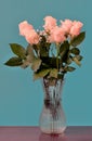 Pink roses with green leaves in a glass vase with water Royalty Free Stock Photo