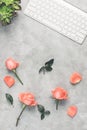 Pink roses on grey table with white keyboard and open notebook Royalty Free Stock Photo