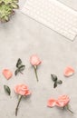 Pink roses on grey table with white keyboard and open notebook Royalty Free Stock Photo