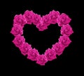 Pink roses heart illustration