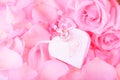 Pink roses and heart shaped box. gentle love background for valentines day