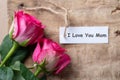 Pink roses with I Love You Mom tag card Royalty Free Stock Photo