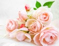 Pink roses isolated on white background. Perfect for background greeting cards and invitations of the wedding, birthday Royalty Free Stock Photo