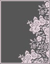 Pink roses lace Card.