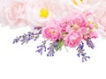 Pink roses and lavender bouquet isolated on white Royalty Free Stock Photo