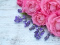 Pink roses and lavender bouquet on the white background Royalty Free Stock Photo