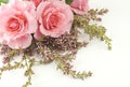 Pink Roses and Lilac White Background Royalty Free Stock Photo