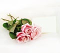 Pink Roses and Note Royalty Free Stock Photo