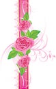 Pink roses with ornament on the decorative ribbon