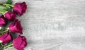 Pink Roses Over Rustic Wooden Background