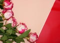 Pink roses on paper background.Mockup with copy. Floral frame made of pink and red, branches and leaves isolated on pink backgroun Royalty Free Stock Photo