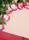 Pink roses on paper background.Mockup with copy. Floral frame made of pink and red, branches and leaves isolated on pink backgroun Royalty Free Stock Photo