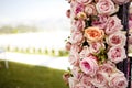 Pink roses and peonies wedding arch