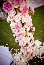 Pink roses and peonies wedding arch