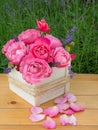 Pink roses and provence lavender bouquet in the wooden box Royalty Free Stock Photo