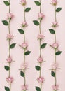 Pink roses in row pattern with small flowers and green leaves. Simple flat lay repetition on soft light Royalty Free Stock Photo