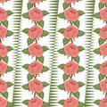 Pink roses seamless pattern, hand drawing, vector illustration. Drawn flower buds Royalty Free Stock Photo