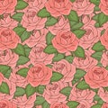 Pink roses seamless pattern, hand drawing, vector illustration. Royalty Free Stock Photo