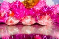 Pink roses set made of silk ribbon Royalty Free Stock Photo