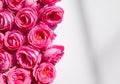 Pink roses on soft silk background