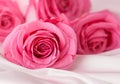 Pink roses on soft silk background