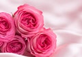 Pink roses on soft silk background