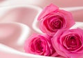 Pink roses on soft silk background