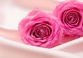 Pink roses on soft silk background