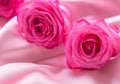 Pink roses on soft silk background