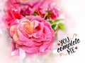 You and me love happy greetings card valentine day wedding womens day pink roses spring summer flowers background copy space Royalty Free Stock Photo