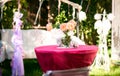 Pink roses standing on decorated table at yard Royalty Free Stock Photo