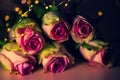 Pink roses to valentinsday, lights, romantic postcard