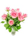 Pink Roses in a Vase Royalty Free Stock Photo