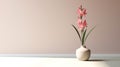 Minimalist 3d Vase With Pink Flower - Uhd Image