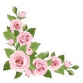 Pink roses. Vector corner background.