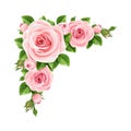 Pink roses. Vector corner background.