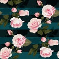Pink roses vector seamles pattern. Realistic flowers on stripes background, floral texture