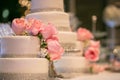 Pink Roses on a wedding cake Royalty Free Stock Photo