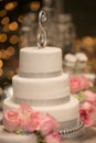 Pink Roses on a wedding cake Royalty Free Stock Photo