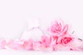 Pink roses wedding dress, gentle love background for wedding