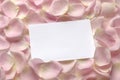 Pink roses with White blank note Royalty Free Stock Photo
