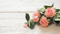 Pink roses on a white wooden table. Copy space for text. Template for March 8, Mother`s Day, Valentine`s Day. Banner Royalty Free Stock Photo