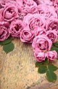 Pink roses on wooden background Royalty Free Stock Photo