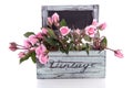 Pink roses in a wooden planter