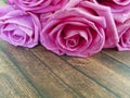 Pink roses on a wooden retro text space beauty decoration