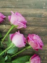 Pink roses on a wooden retro text space